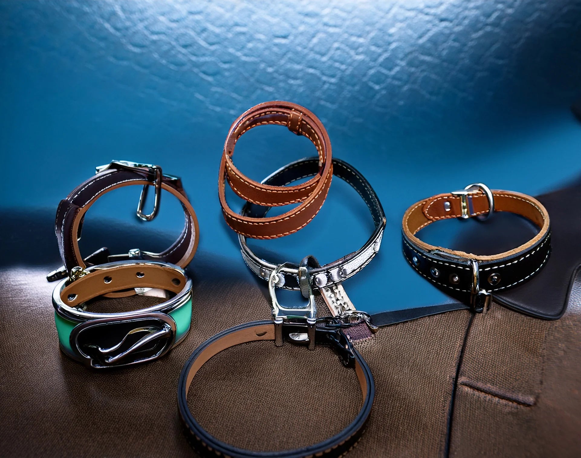 Collars, Harnesses & Leads